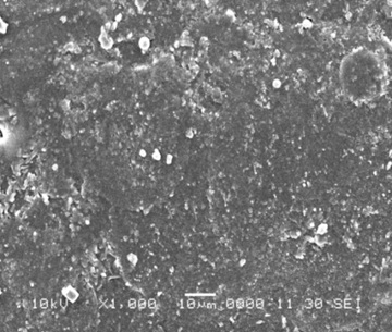 Fig : Scanning Electron Microscopy of polymer Film.